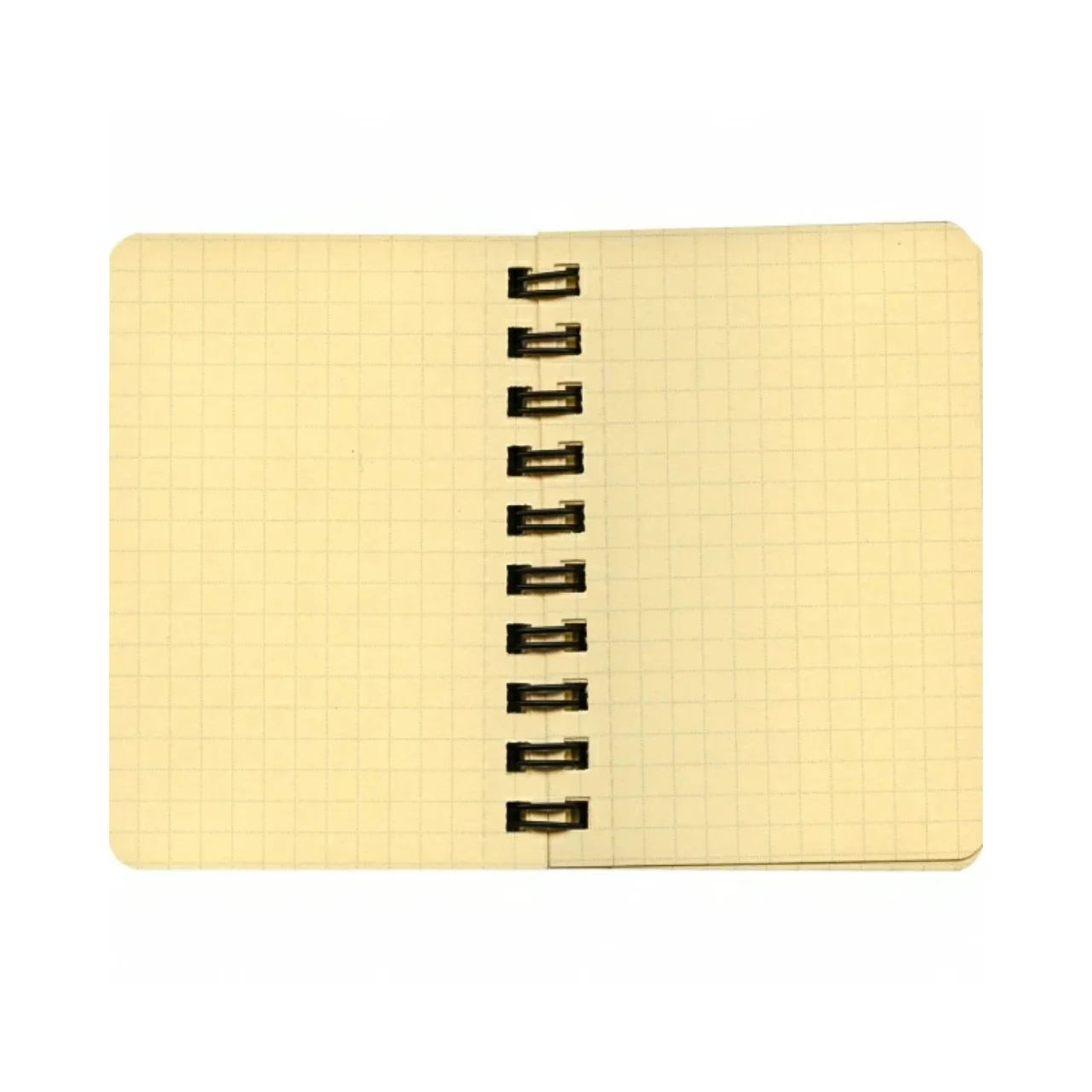 Delfonics Rollbahn Mini Spiral Notebook - Image 3