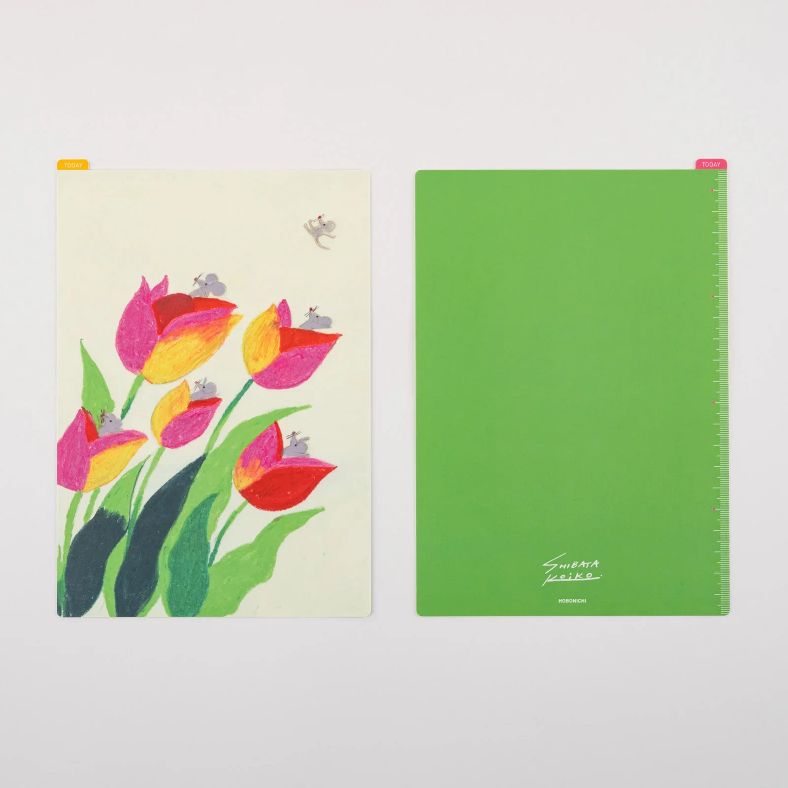 Hobonichi Pencil Board [Keiko Shibata] - Image 7