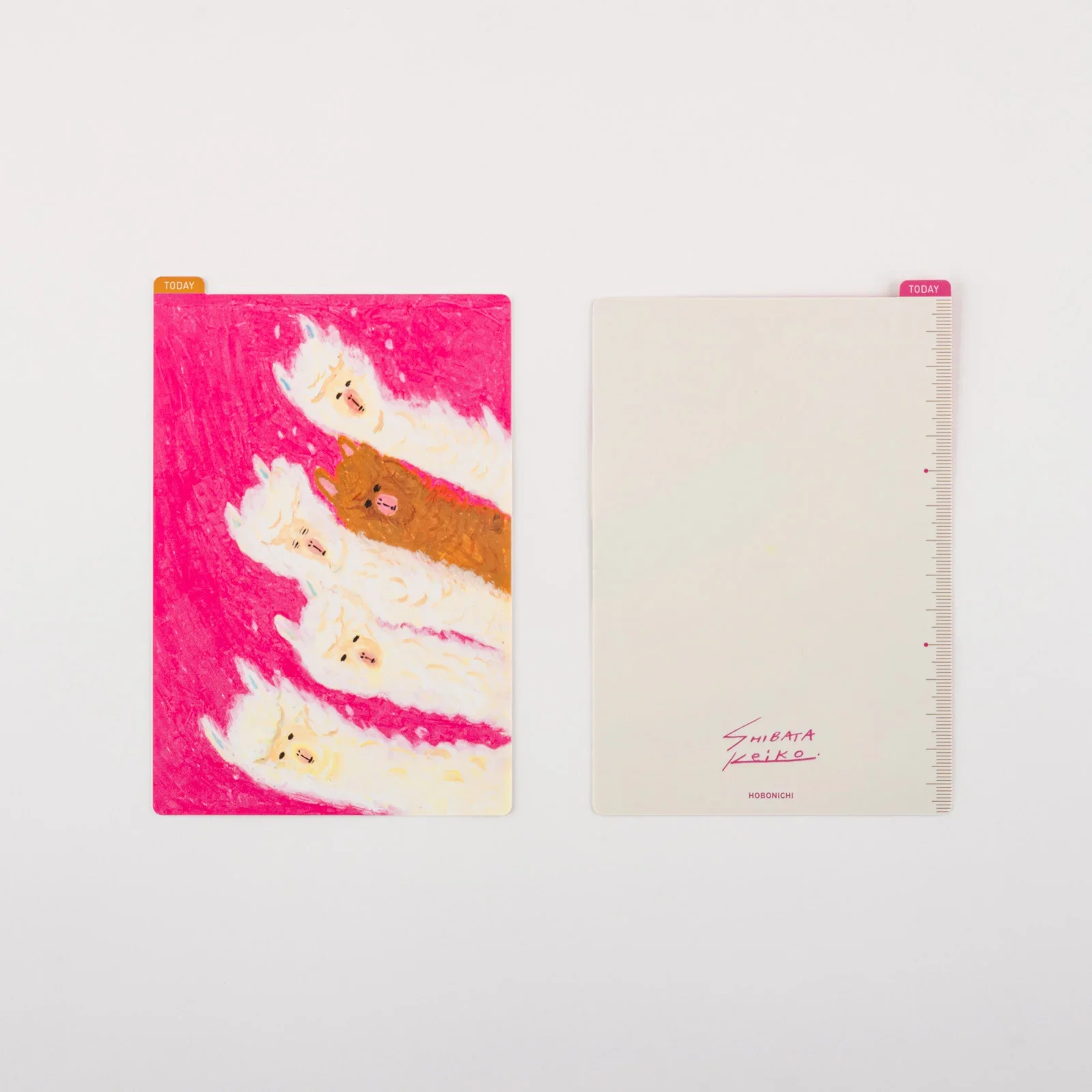 Hobonichi Pencil Board [Keiko Shibata] - Image 8