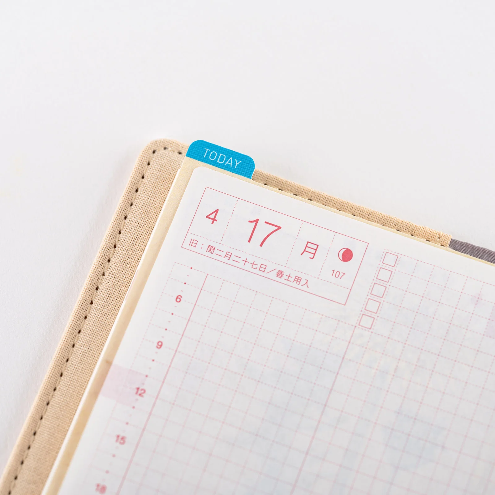 Hobonichi Pencil Board [Tomitaro Makino] - Image 3