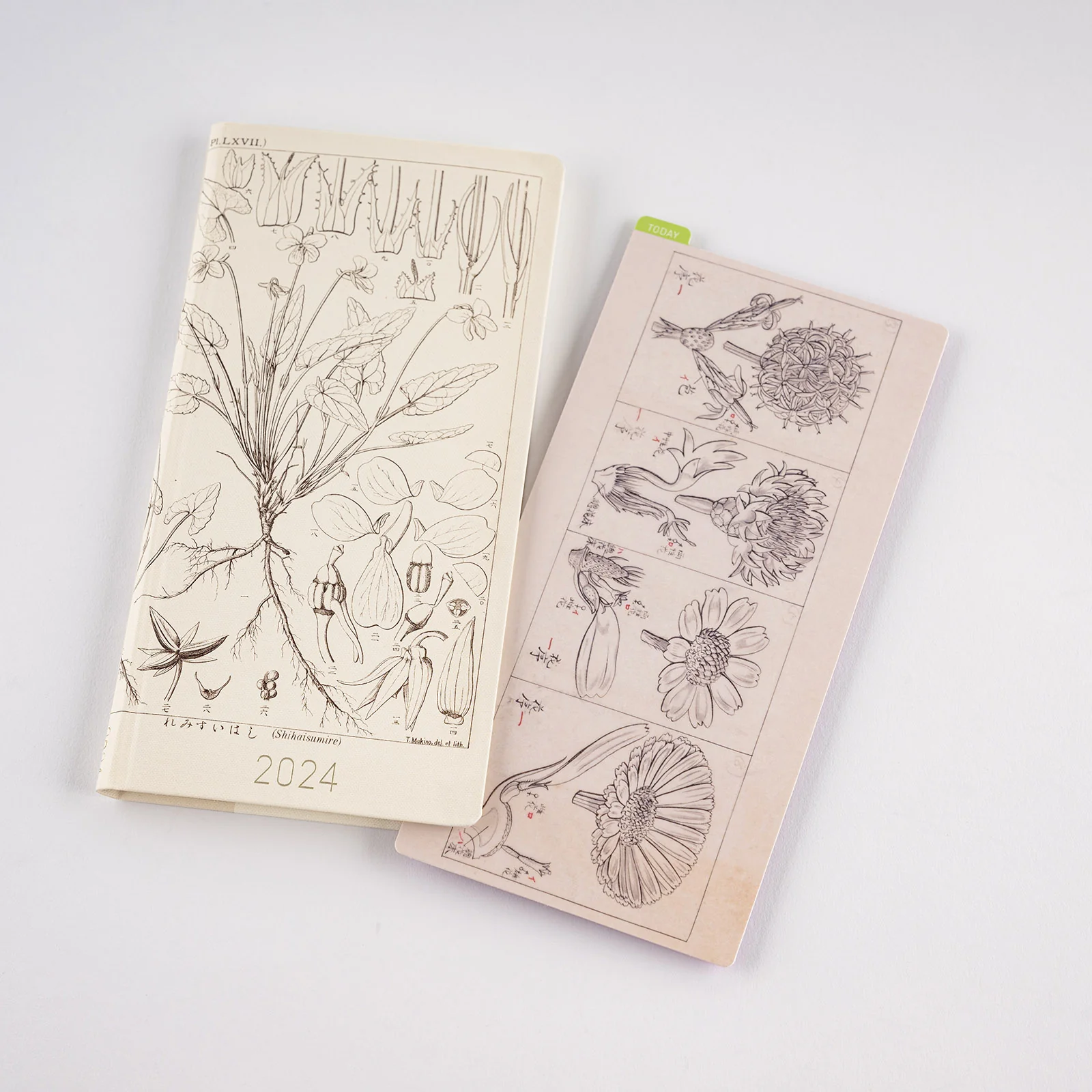 Hobonichi Pencil Board [Tomitaro Makino] - Image 8
