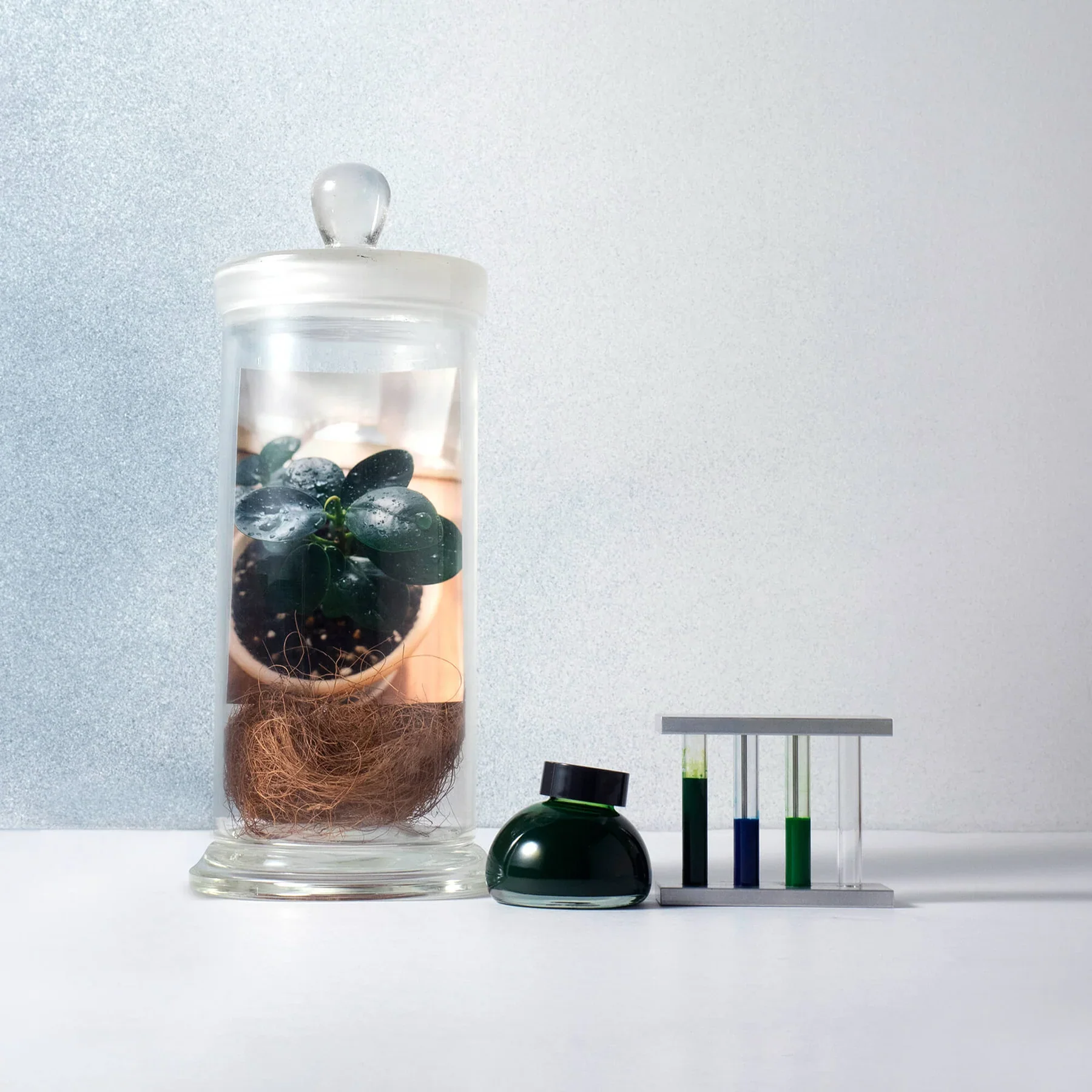 Kakimori Colour Specimen Inks [Limited Edition] - Image 9