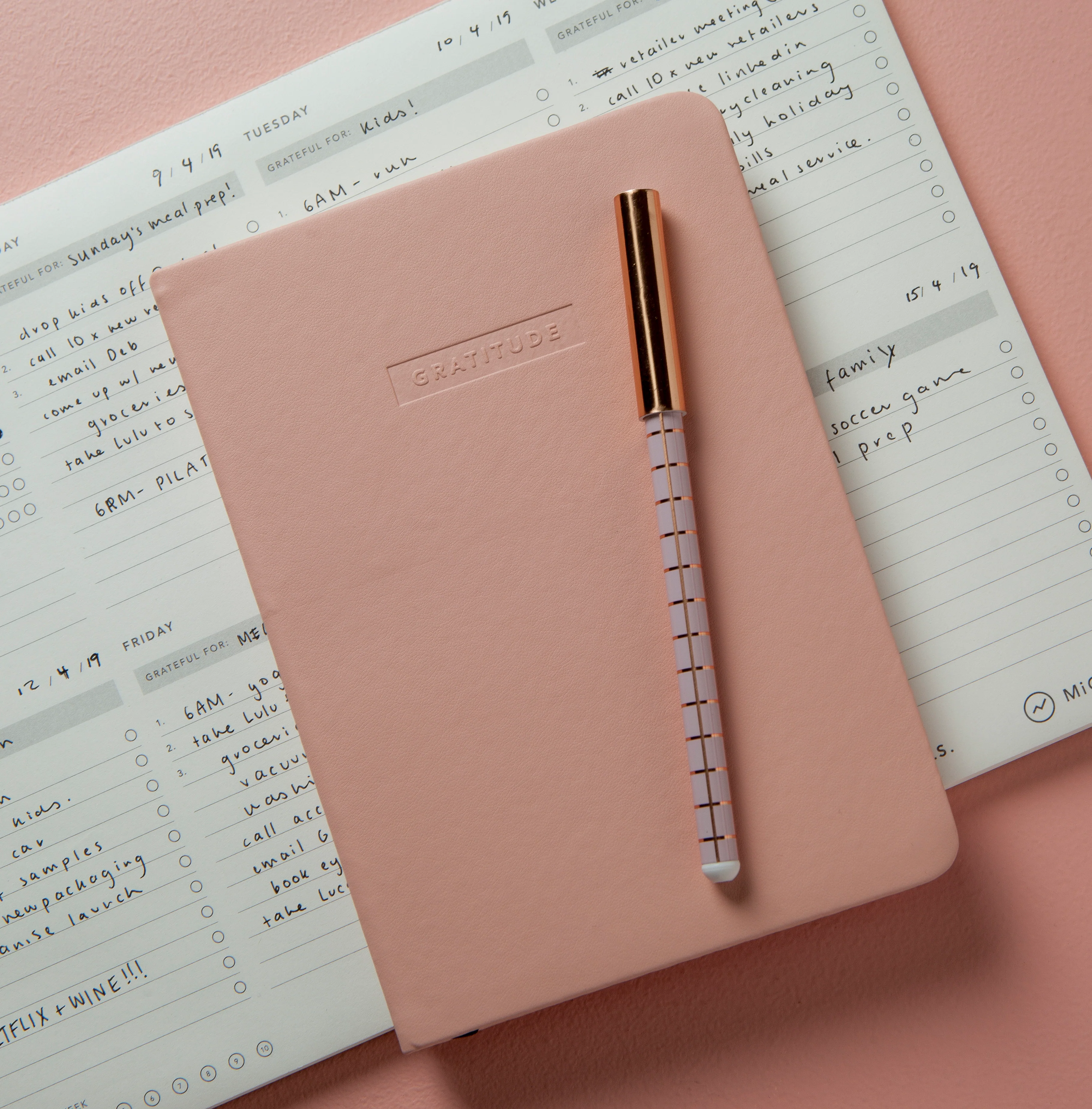 MiGOALS Gratitude Journal B6