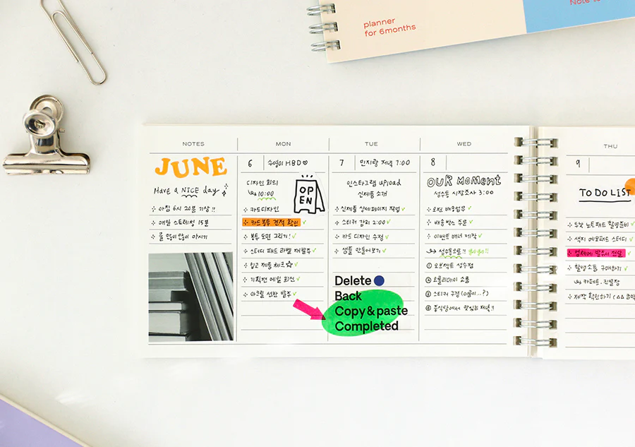 Paperian Do Not Disturb 6 Month Planner - Image 4