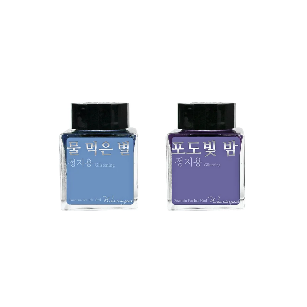 Wearingeul Jeong Jiyong Literature Fountain Pen Ink 30ml