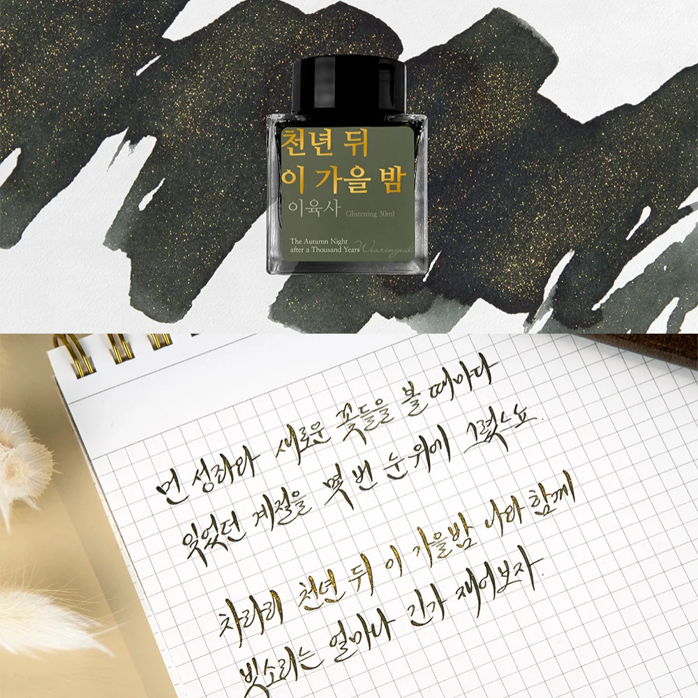 Wearingeul Lee Yuk Sa Literature Fountain Pen Ink – 30ml - Image 3