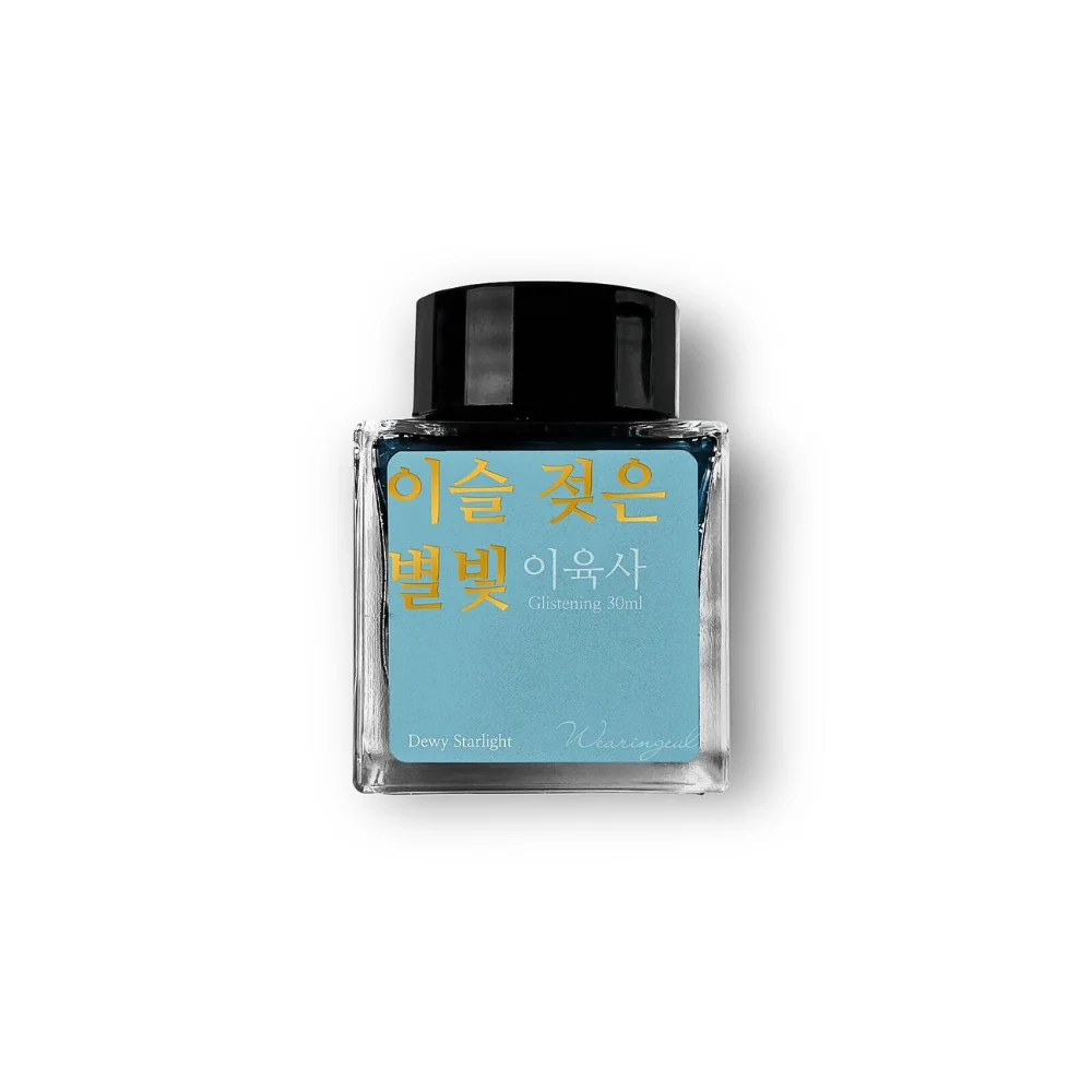 Wearingeul Lee Yuk Sa Literature Fountain Pen Ink – 30ml - Image 6